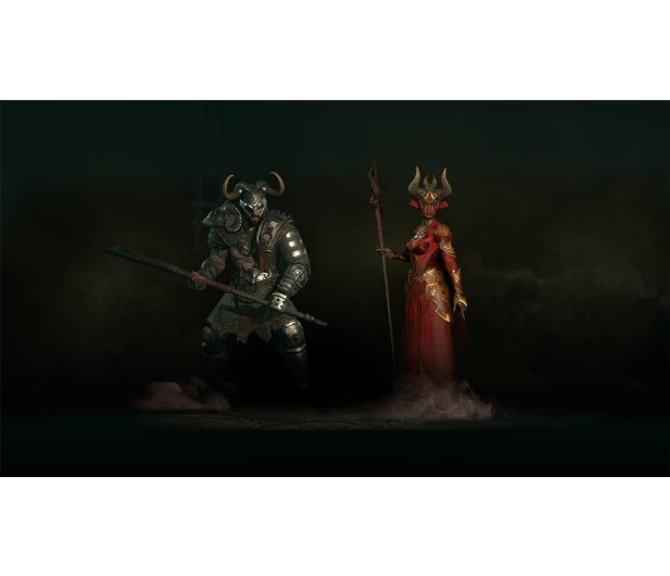 Microsoft Xbox Series X Diablo IV - 1133661 - zdjęcie 11